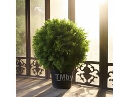 Искусственное растение Merry Bear Home Decor Туя шаровидная / KDA0255
