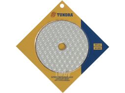 Шлифовальный круг Tundra Черепашка сухая шлифовка 100мм № 800 / 3594935