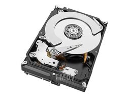 Жесткий диск Seagate Skyhawk 6TB (ST6000VX001)