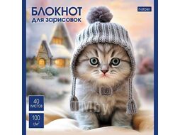 Скетчбук-блокнот 165*165 40л. на скобе "Котики-артисты", 100г/м2, мат. ламинация, ассорти Hatber 40Б5лA/087479