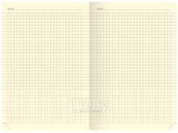 Записная книжка Berlingo Western А5 NB0 85503 (80л, коричневый)