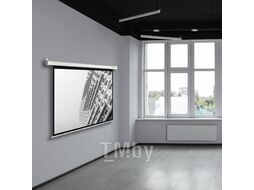 Экран Cactus CS-PSME-300X188-WT