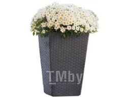 Кашпо Keter Medium Rattan Planter / 228974 (графит)