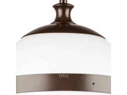 Трековый светильник Lightstar Globo / PRO813117