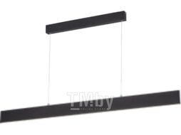 Потолочный светильник Arte Lamp Largo A2505SP-2BK