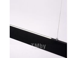 Потолочный светильник Arte Lamp Largo A2505SP-2BK