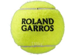 Набор теннисных мячей Wilson Roland Garros All CT / WRT116400 (4шт)
