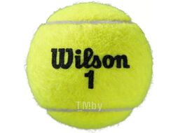 Набор теннисных мячей Wilson Roland Garros All CT / WRT116400 (4шт)