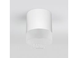 Светильник уличный Elektrostandard Light LED 2107 35140/H (белый)