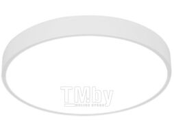 Потолочный светильник Arte Lamp Arena A2670PL-1WH
