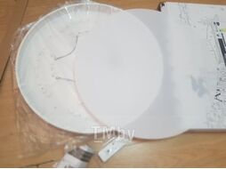 Потолочный светильник Arte Lamp Arena A2670PL-1WH