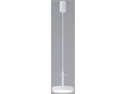 Потолочный светильник Elektrostandard Plate 50260 LED (белый)