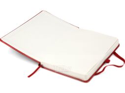 Записная книжка Axent Partner Lux А5 / 8202-06 (96л, красный)