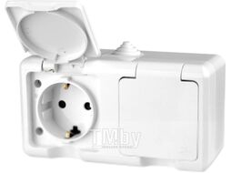 Розетка Tokov Electric TKL-DT-R2Z-C01-IP54