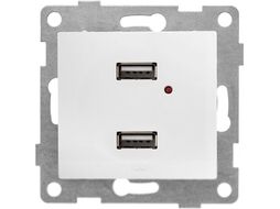 Розетка Gusi Electric Bravo С10USB2-001 (белый)