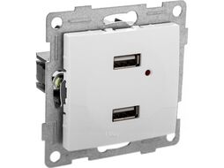 Розетка Gusi Electric Bravo С10USB2-001 (белый)