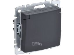Розетка IEK Brite BR-R16-16-K53 (графит)
