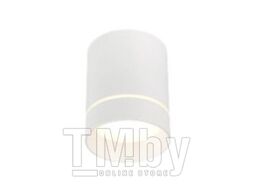 Потолочный светильник ST Luce ST115.542.07