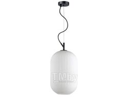 Потолочный светильник Odeon Light Roofi 4752/1