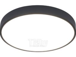 Потолочный светильник Arte Lamp Arena A2661PL-1BK