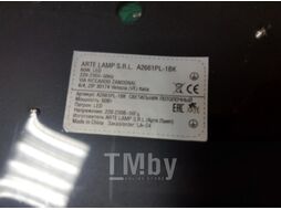 Потолочный светильник Arte Lamp Arena A2661PL-1BK
