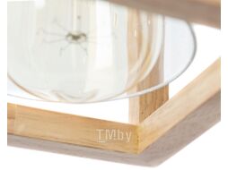 Потолочный светильник Arte Lamp Dublin A7025SP-1BK