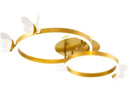 Потолочный светильник ESCADA 10225/2LED BL (золото)