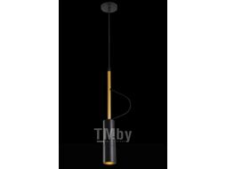 Потолочный светильник FAVOURITE Tube 2107-1P
