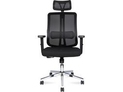 Кресло офисное Norden Tema Сhrome 2D / 216A-Сhrome-2D-B-BB (хром/черный)
