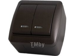 Выключатель TDM Селигер SQ1818-0204 (шоколад)