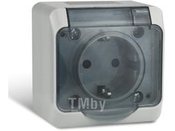 Розетка Tokov Electric TKE-NX-R1Z-C06T-IP54