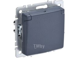 Розетка IEK Brite BR-R16-16-44-K35 (маренго)