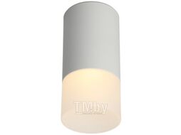 Потолочный светильник Omnilux Lucido OML-100609-01
