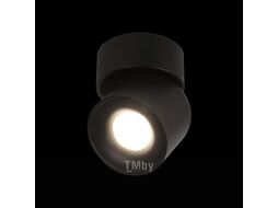 Потолочный светильник Loftit Tictac 10180 (черный)