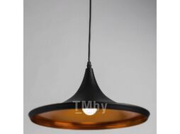 Потолочный светильник Arte Lamp Cappello A3406SP-1BK