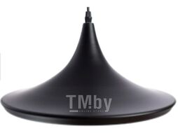 Потолочный светильник Arte Lamp Cappello A3406SP-1BK