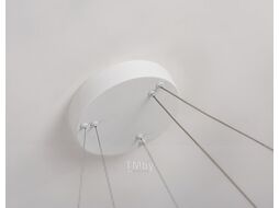 Потолочный светильник Ambrella Comfort / FL5862