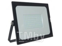 Прожектор General Lighting GTAB-100Вт-IP65-6500 / 403114