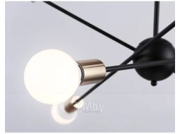 Люстра Ambrella Traditional TR80435/6 BK/GD (черный/золото)