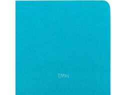 Записная книжка Brauberg Ultra / 113065 (бирюзовый)