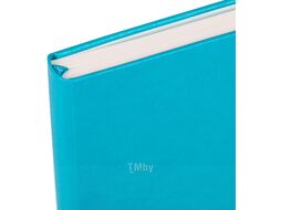 Записная книжка Brauberg Ultra / 113065 (бирюзовый)