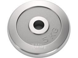 Диск для штанги UNIX Fit d25мм DU5000CE (5кг, хром)