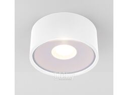 Светильник уличный Elektrostandard Light LED 2135 35141/H (белый)