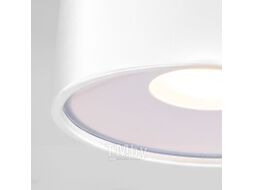 Светильник уличный Elektrostandard Light LED 2135 35141/H (белый)