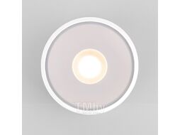 Светильник уличный Elektrostandard Light LED 2135 35141/H (белый)