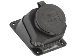 Розетка IEK Омега PKR22-016-2-K02