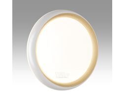 Потолочный светильник Sonex Pale 7650/DL
