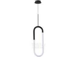 Потолочный светильник Arte Lamp Lumino A2233SP-20BK