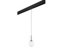Трековый светильник Lightstar Globo / PRO813013
