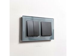 Рамка для выключателей и розеток Werkel W0021115 / a050964 (серый/стекло)